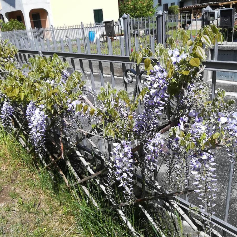 CereteLa Moia住宿加早餐旅馆 外观 照片